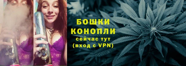 ПСИЛОЦИБИНОВЫЕ ГРИБЫ Артём
