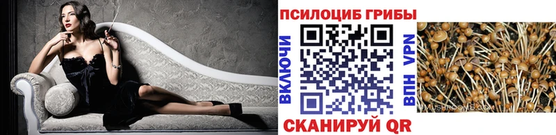 shop официальный сайт  Усть-Катав  Псилоцибиновые грибы MAGIC MUSHROOMS 